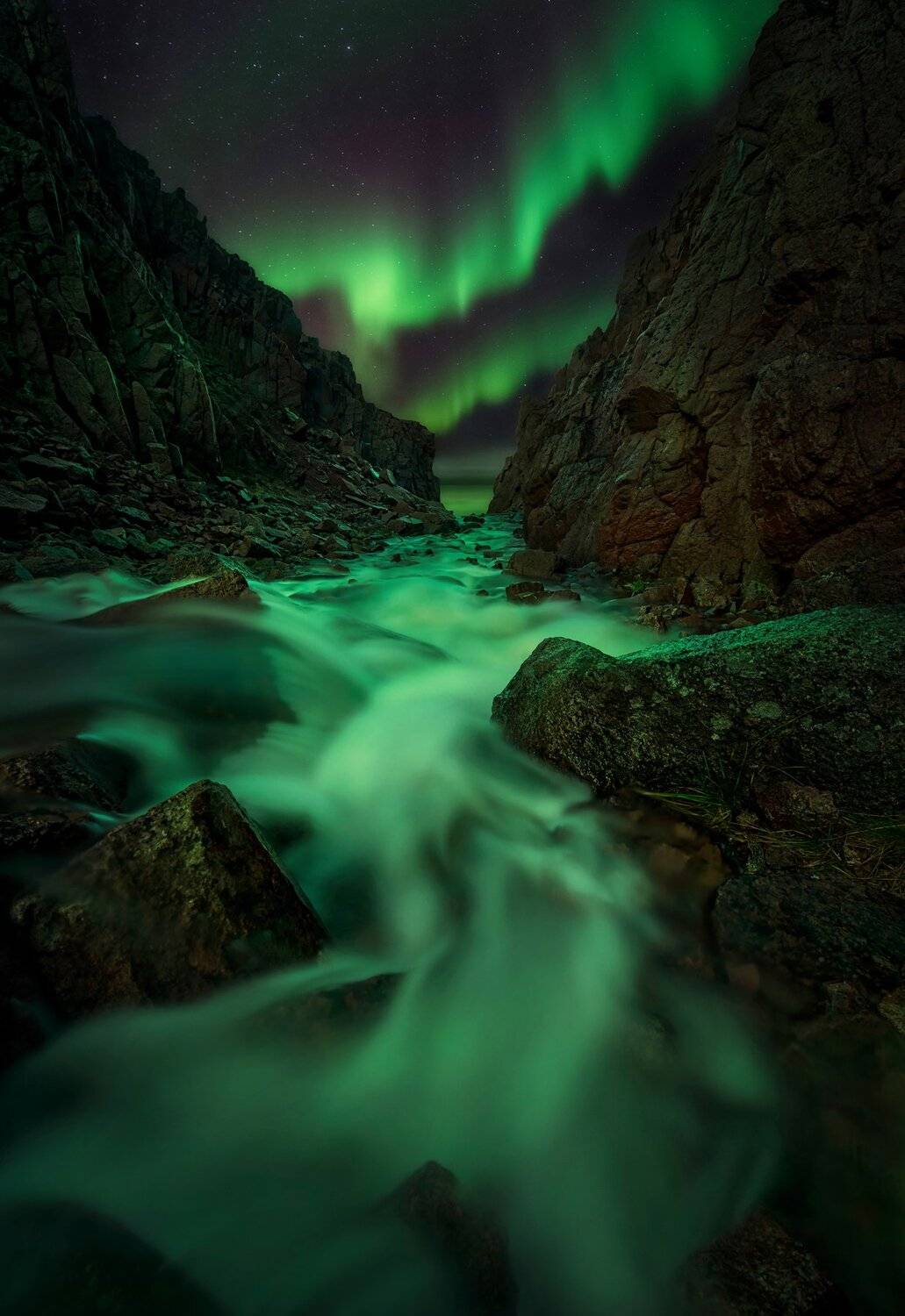 , Елена Ермолина