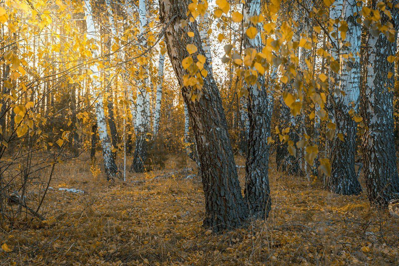 , Игорь Кляхин