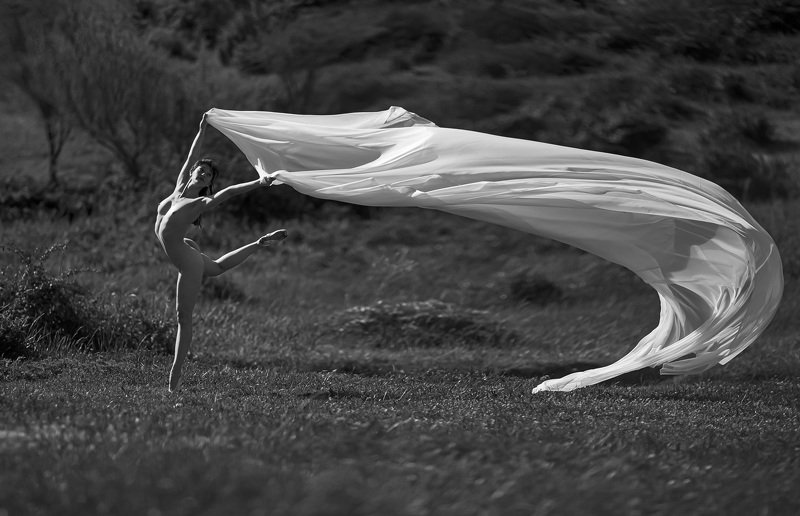 The wind фото превью