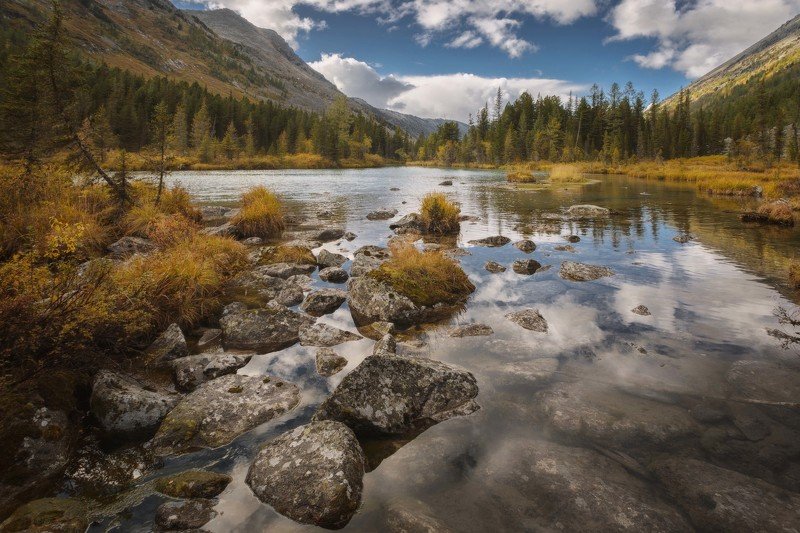 Отражение фото превью