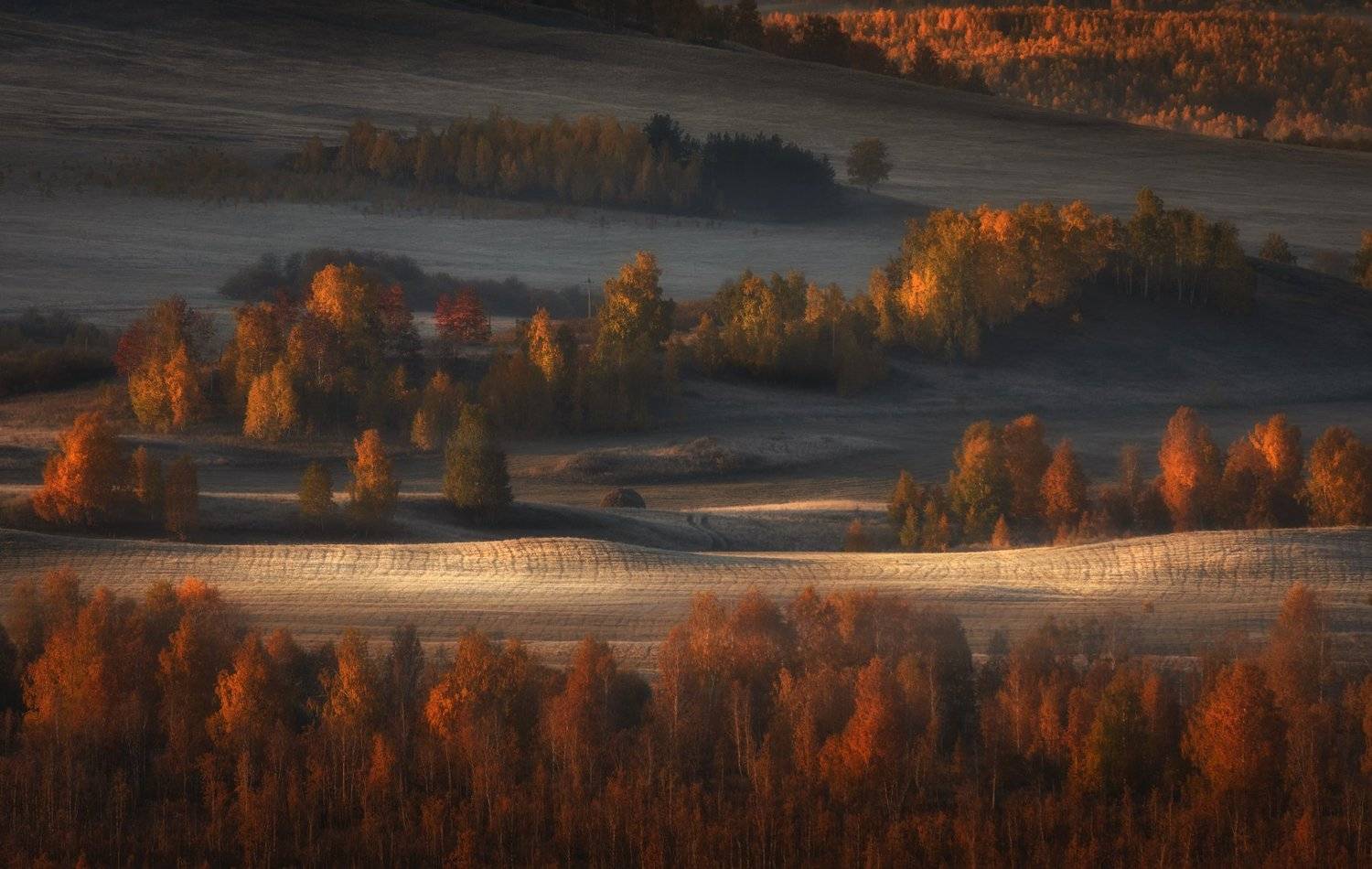 , Татьяна Бирюкова