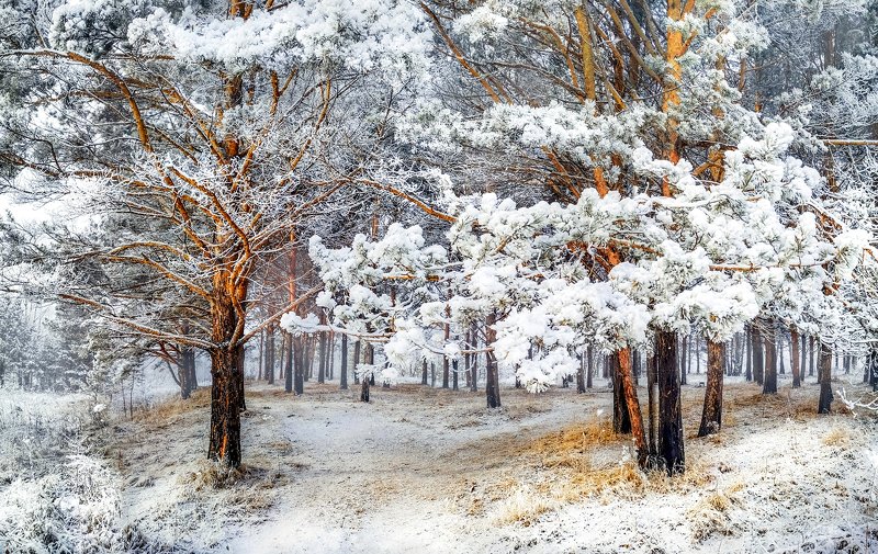 Красота вокруг нас фото превью