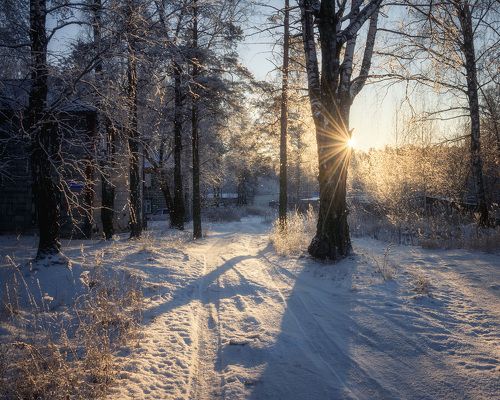 Winter magic