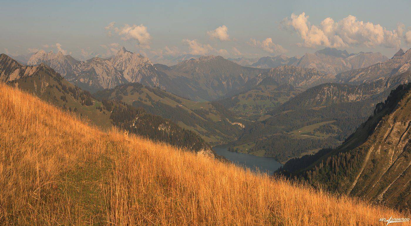 swiss, Матвеев Николай