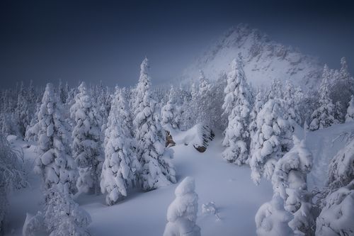 Заснеженный Откликной