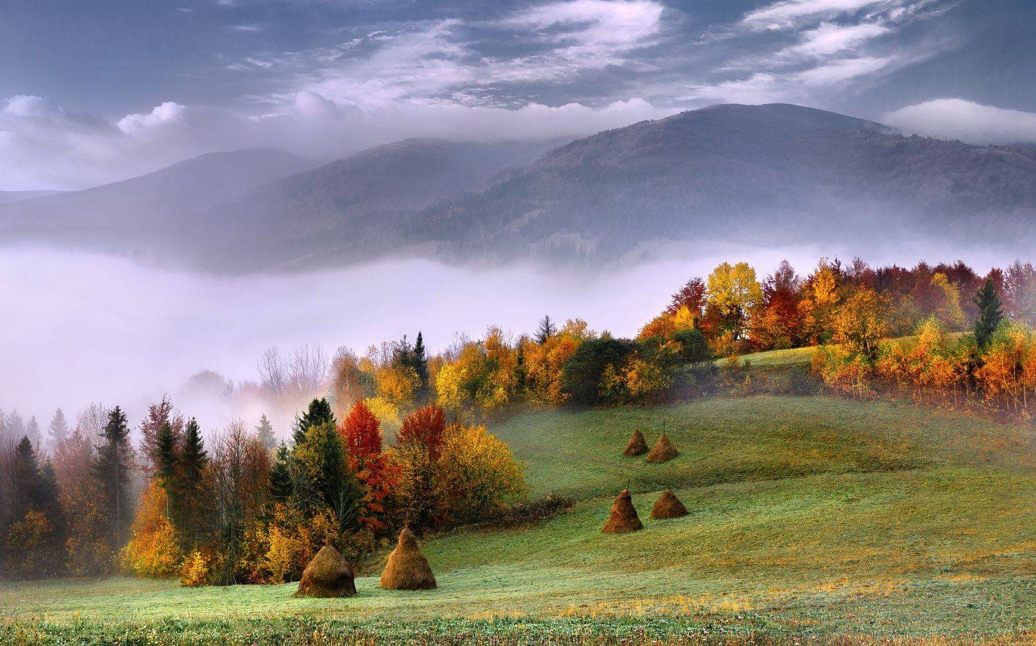 , Полюшко Сергей