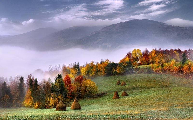 *** фото превью