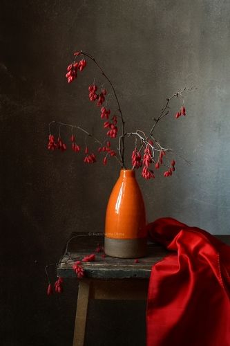 Ноябрьский барбарис