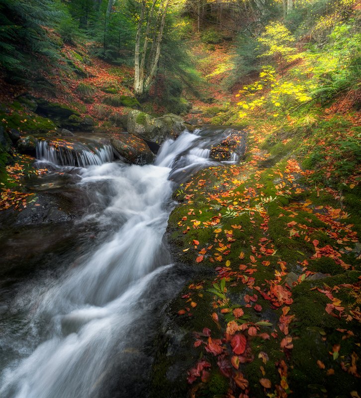 Just autumn / Просто осень фото превью