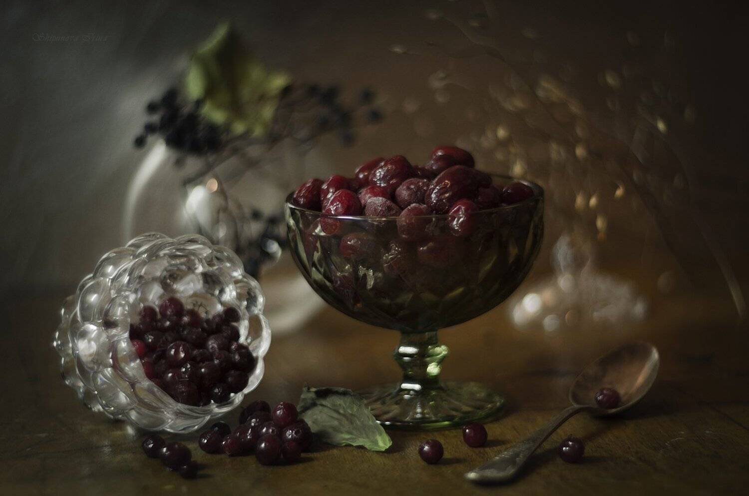 , Шипунова Ирина