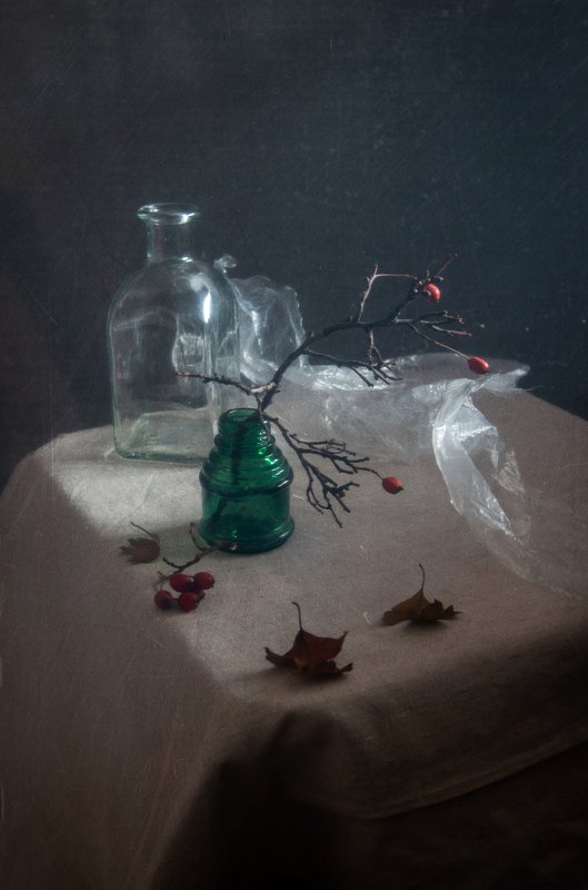 осень, аромат, ягоды, боярышник, натюрморт, ветка Осенний аромат фото превью