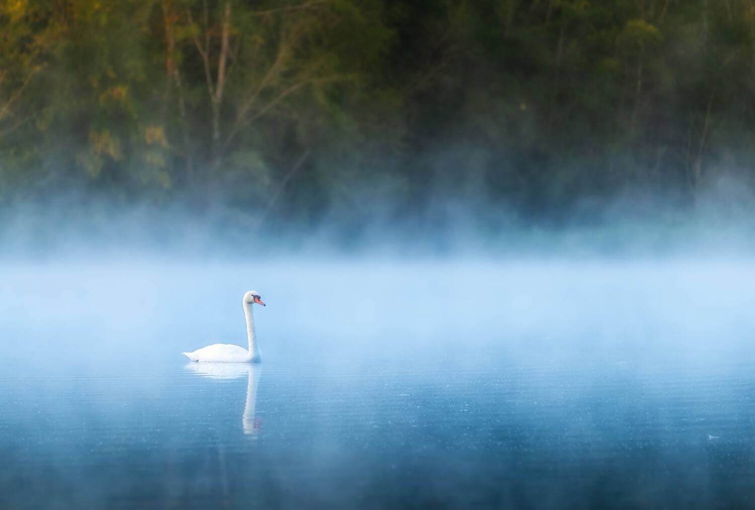 , Александр Орнатский