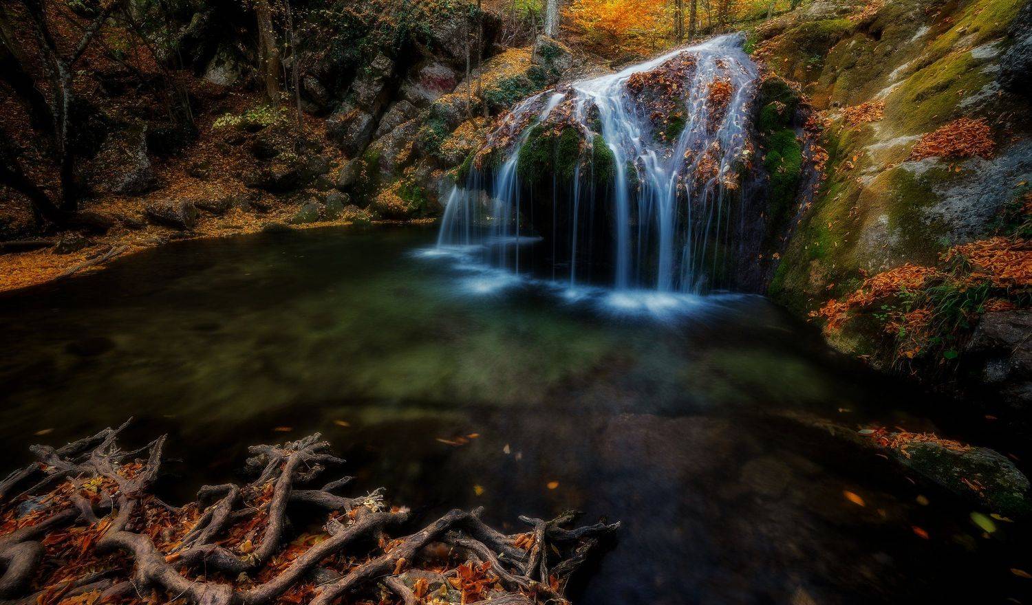 осень, Alexander Plekhanov