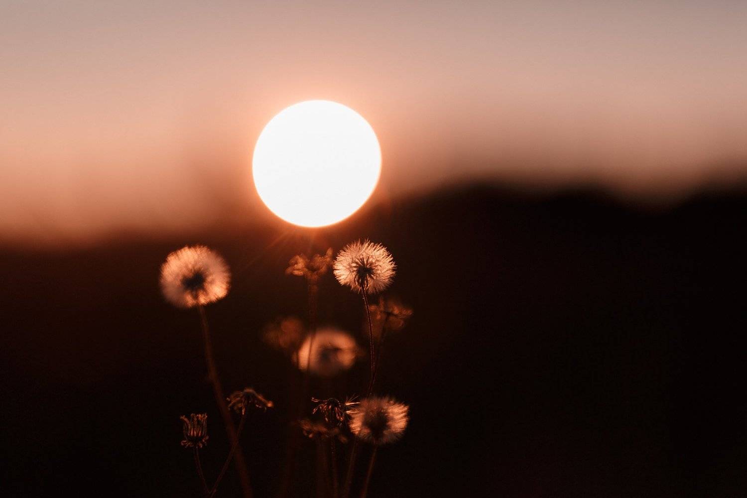 , Нурият Аллаярова