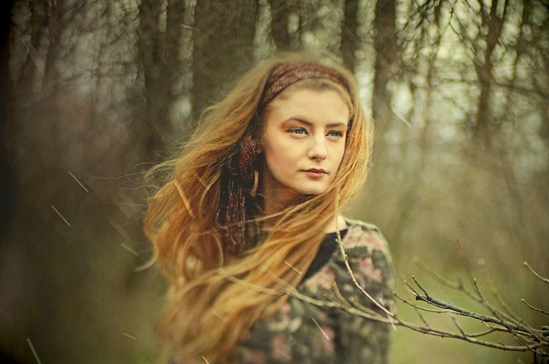 brave. фото превью