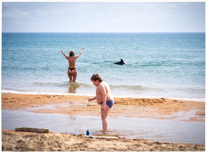 нежданно-негаданно.. фото превью