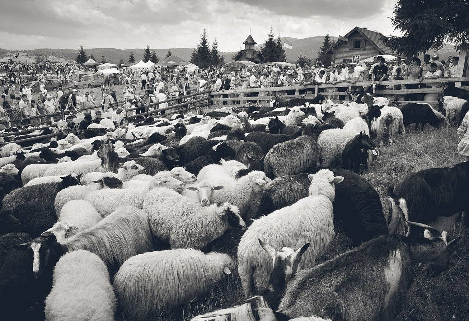 roman shymkovych, роман шимкович, жанр, люди,  people, Роман Шимкович