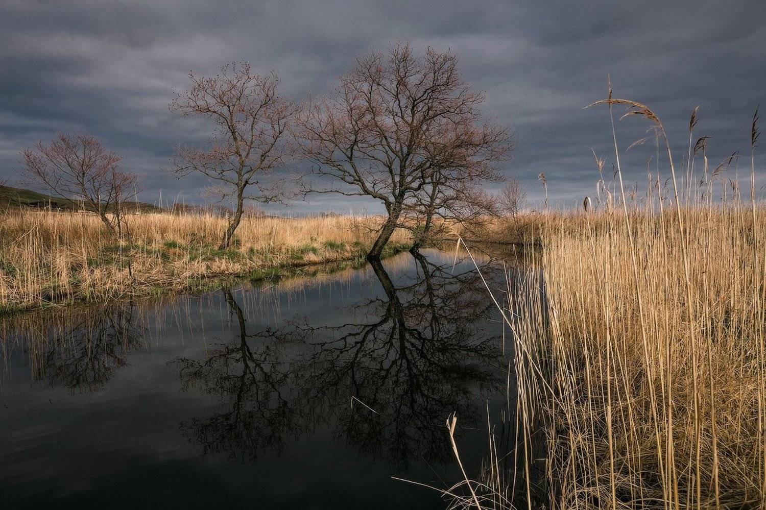 , Андрей Кровлин