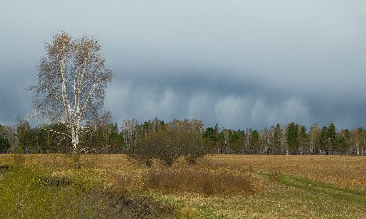 , Николай Морский