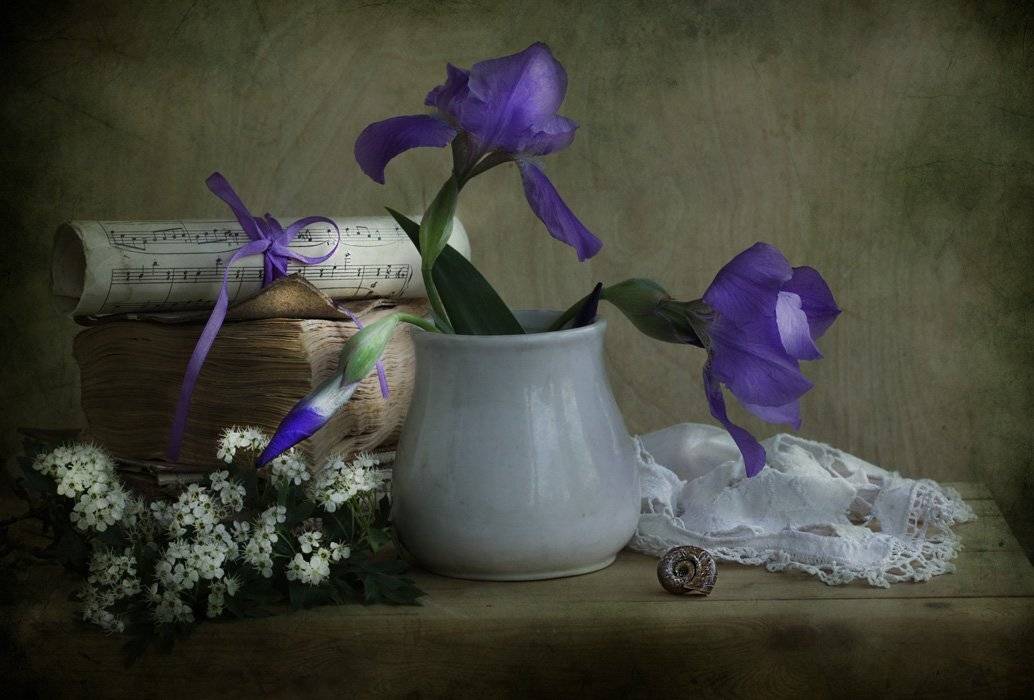 , Петрова Татьяна