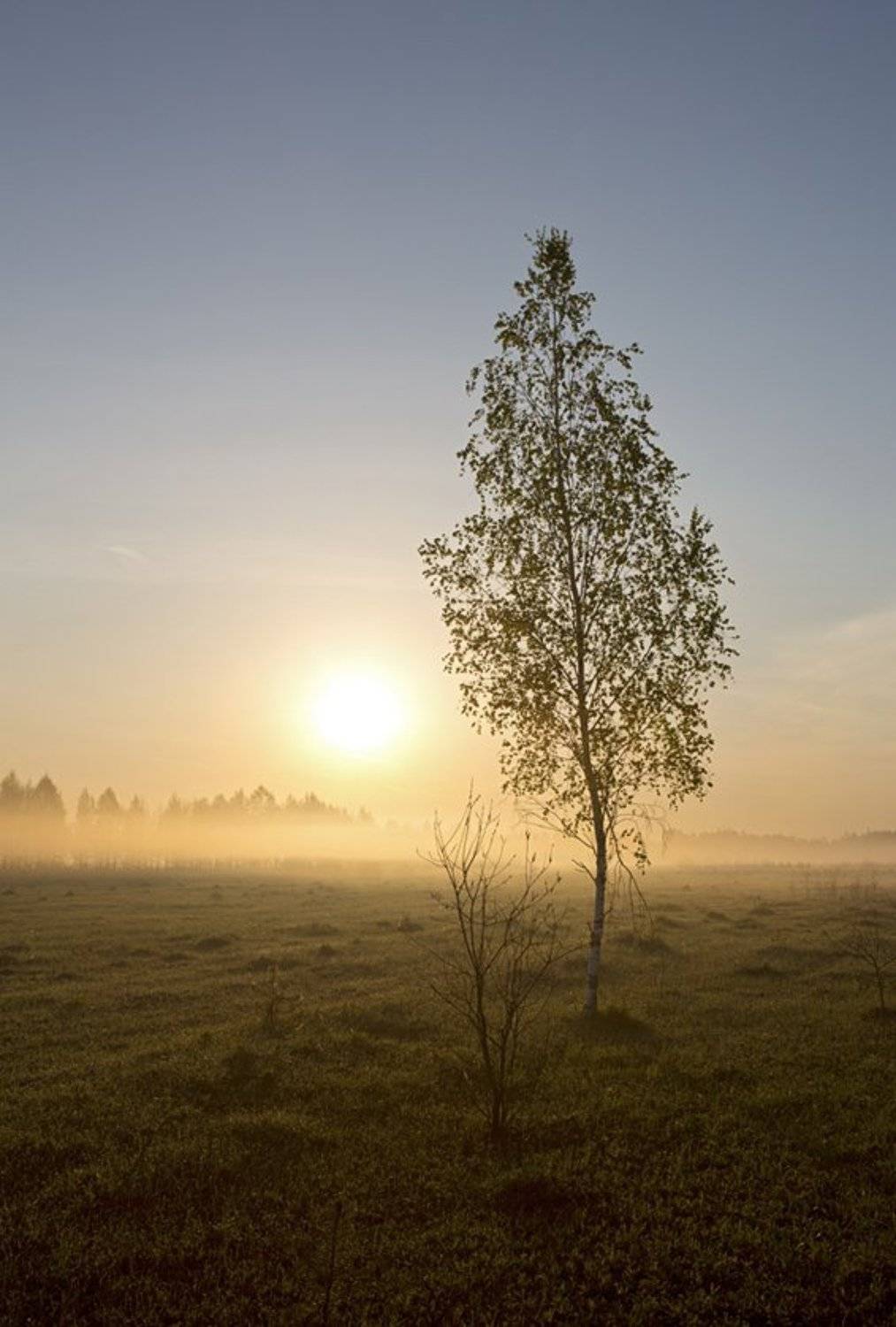 , Марченко Дмитрий