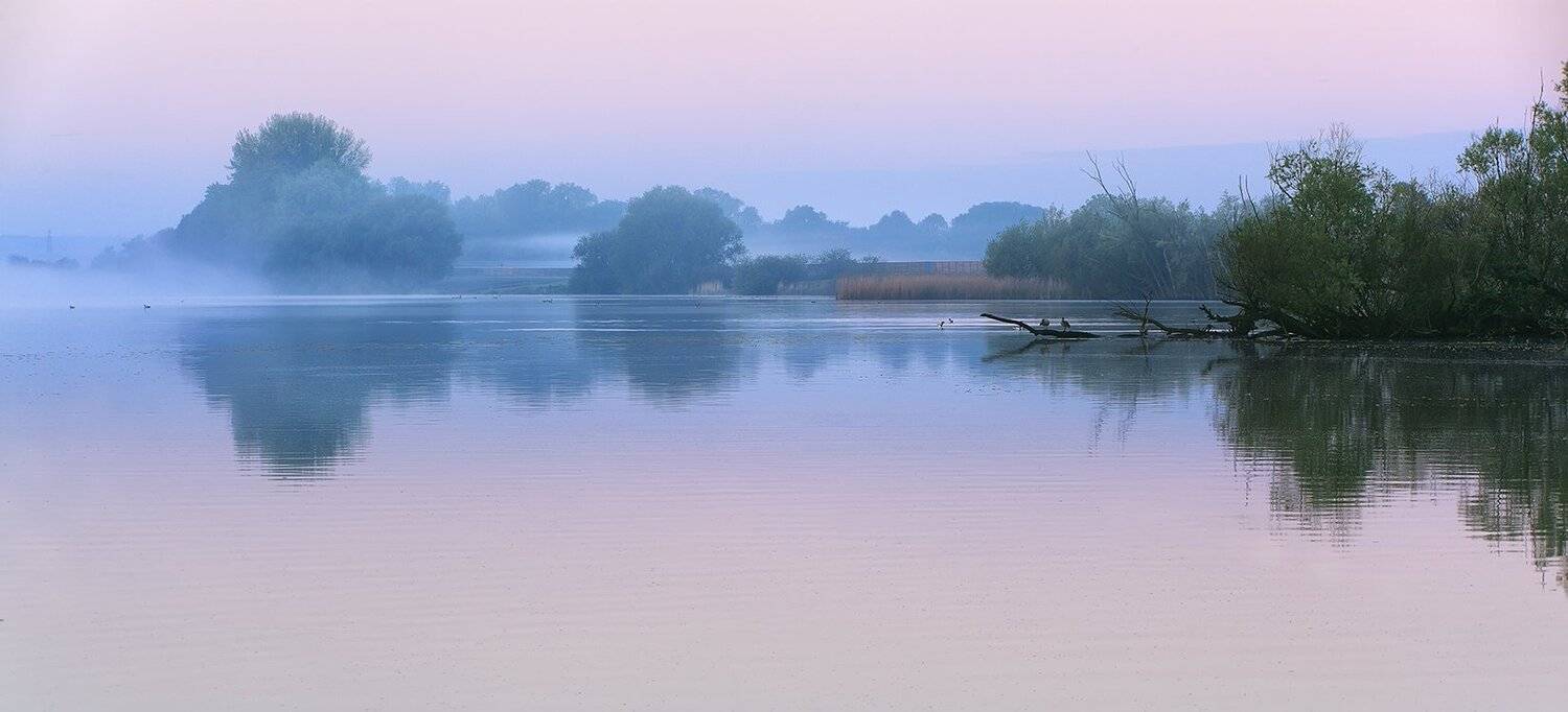 , Игорь Дубровский