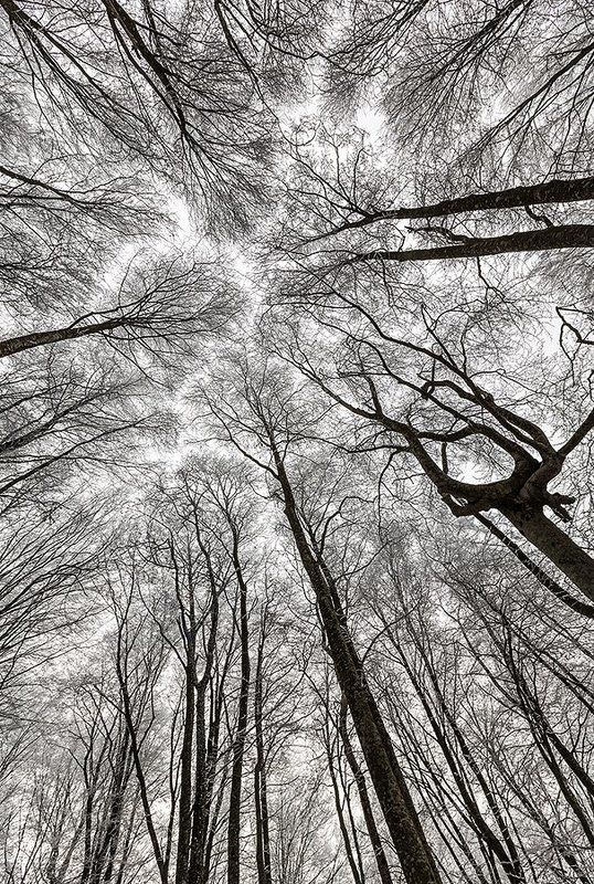 Стремление к свету фото превью