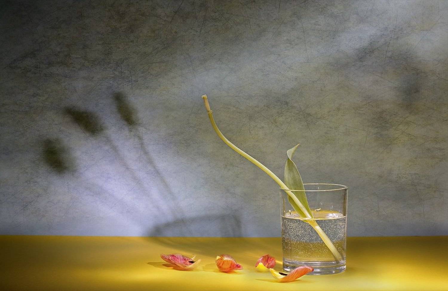 цветы, натюрморт, Svetlana Ра