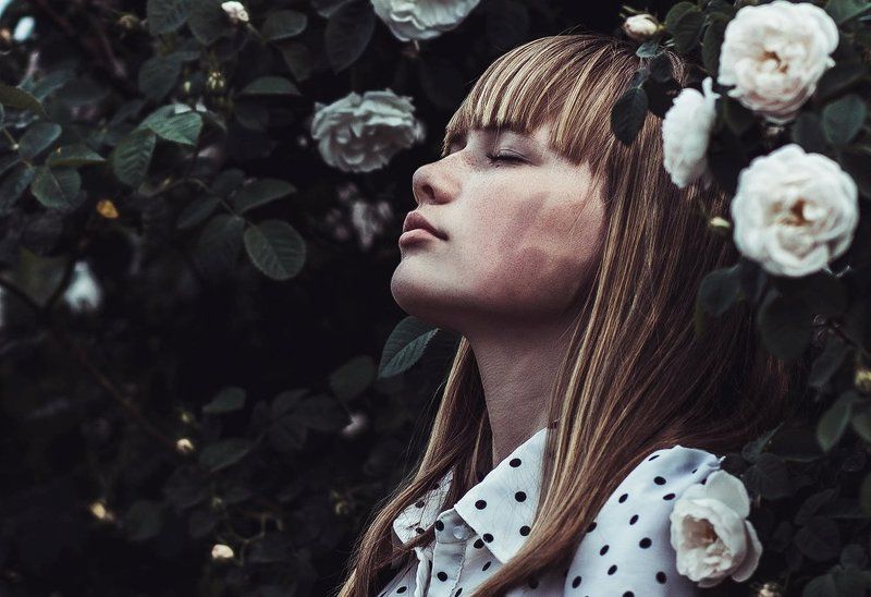 Цветы фото превью