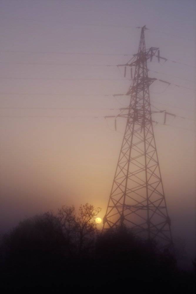 , Николай Шелепов