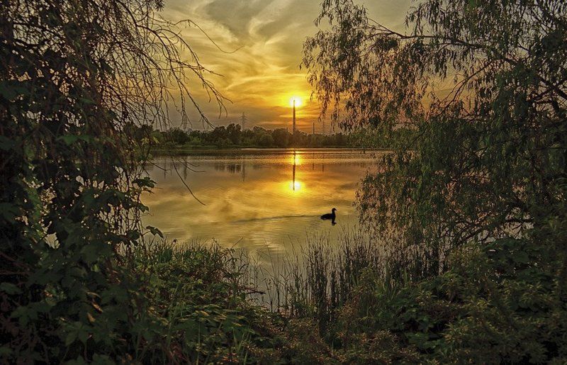 Вечерний променад фото превью