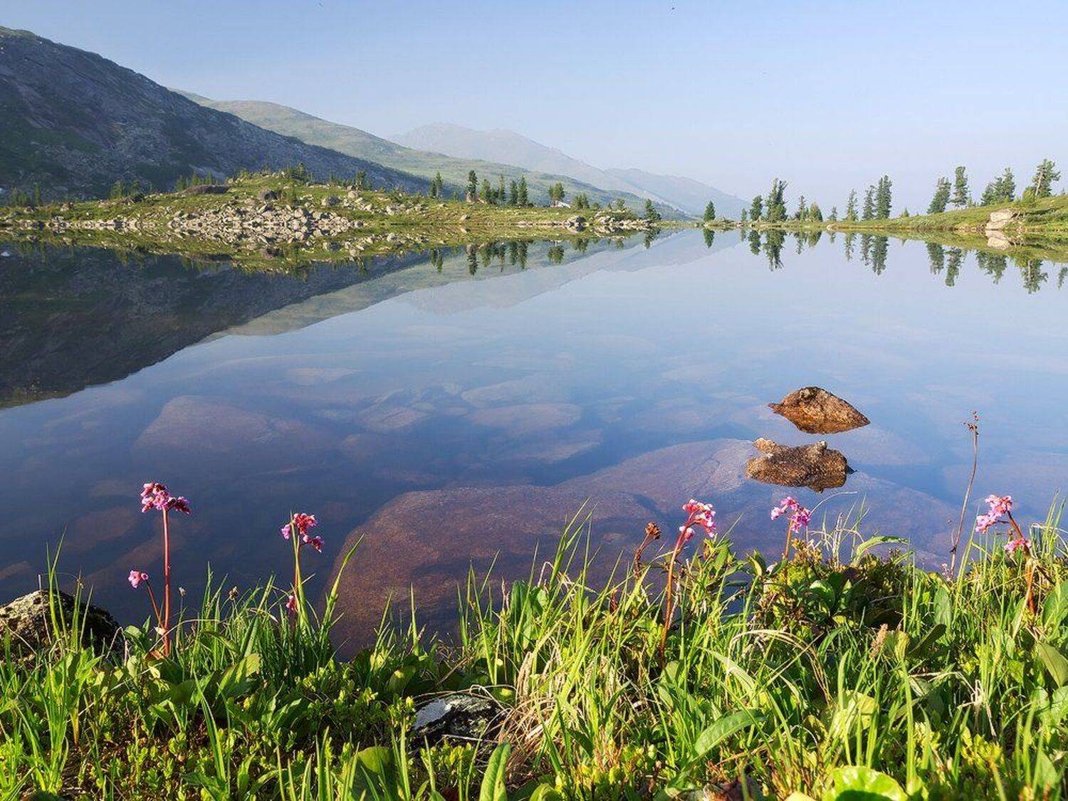 , Лещёнок Александр