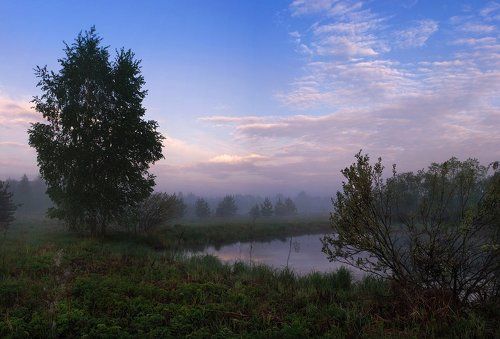 Майское утро