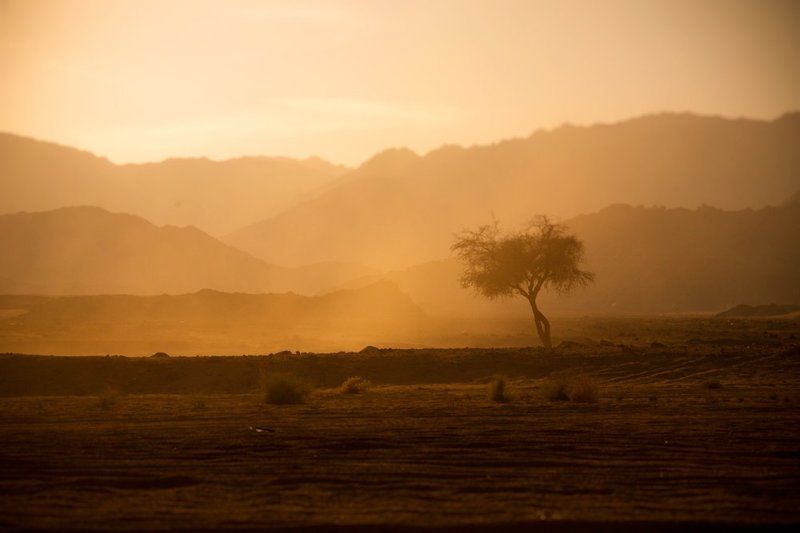 ***** фото превью