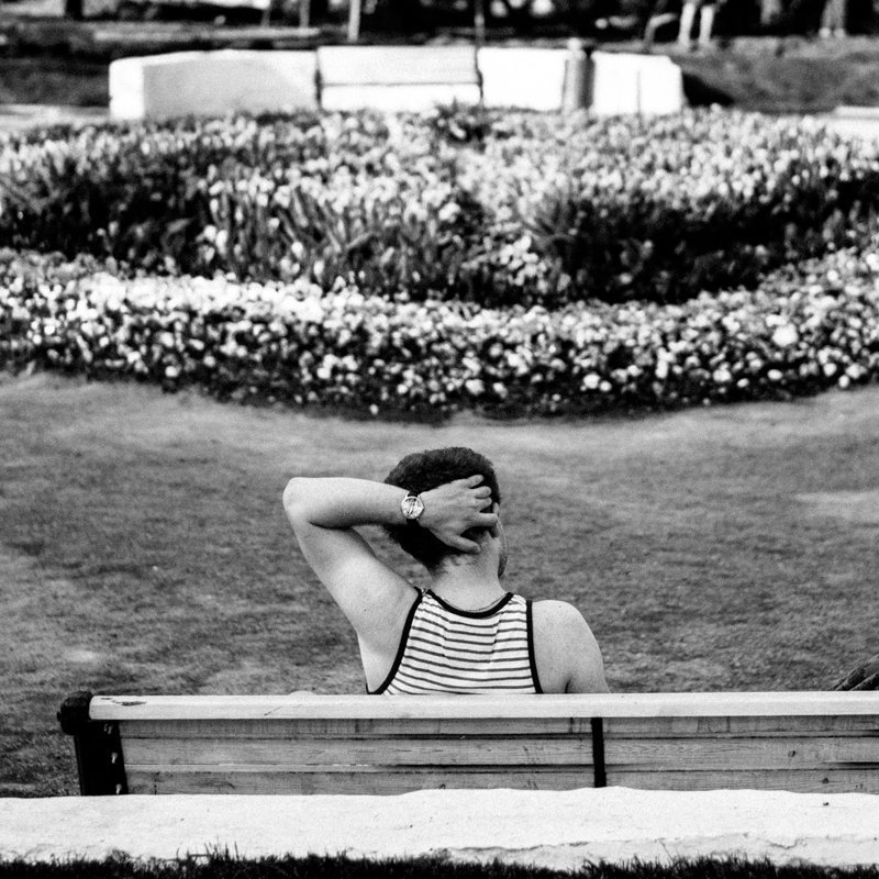 Summer in the park фото превью