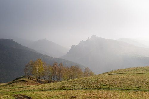 Слепой дождь