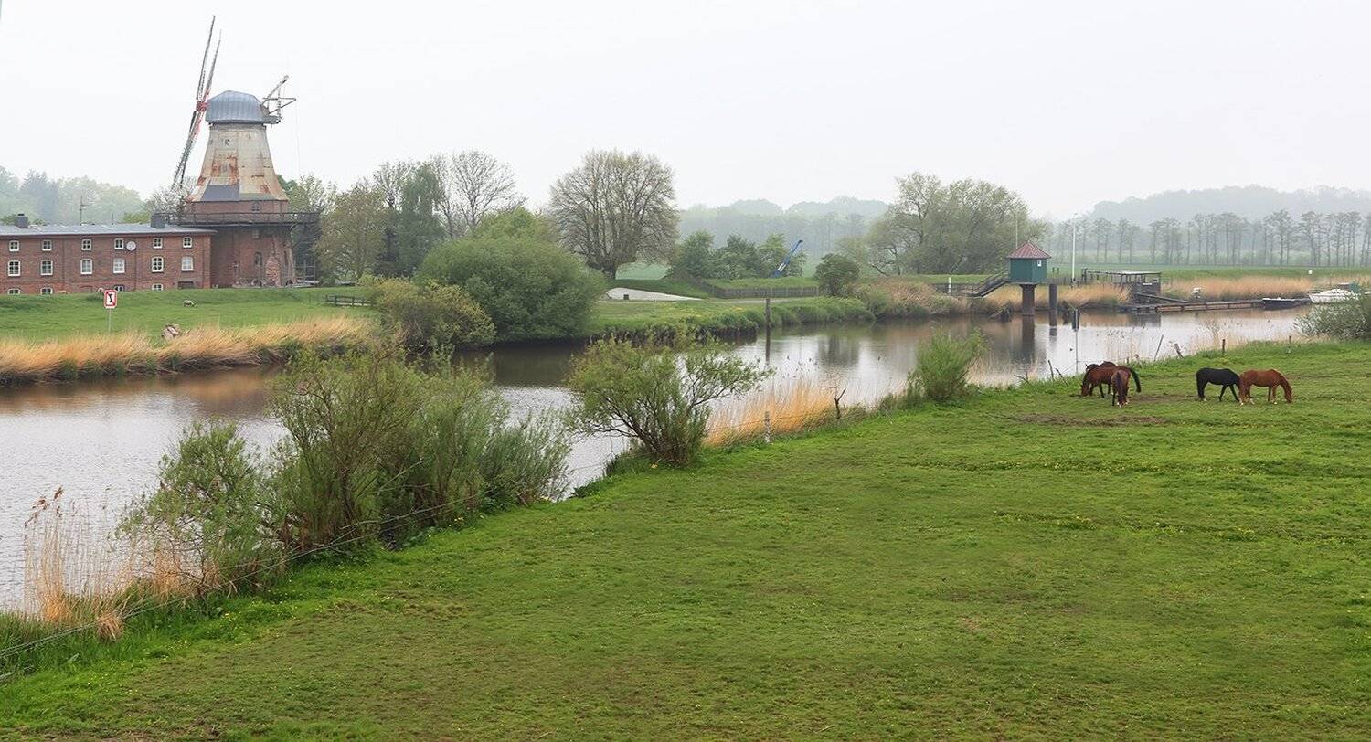 , Игорь Дубровский