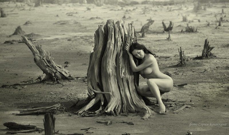 скорбь земли, сергей коляскин, экология, природа, деревья, смерть, загрязнение, вырубки Скорбь Земли фото превью