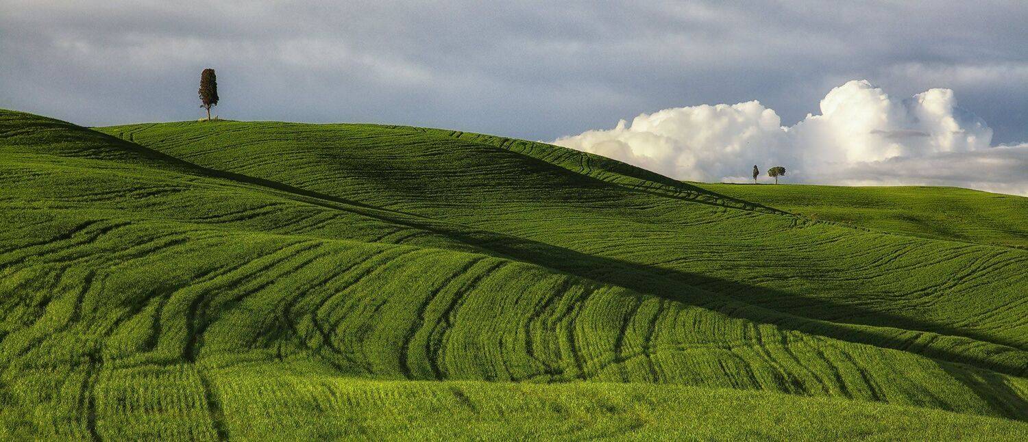 mc, italy, spring, М.