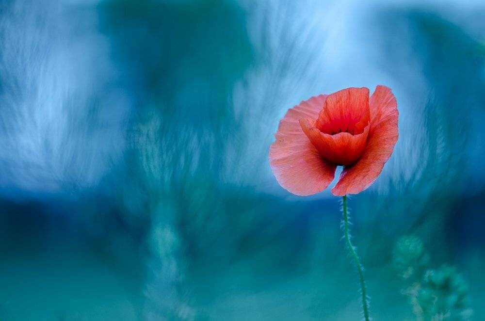 , Татьяна Аверина