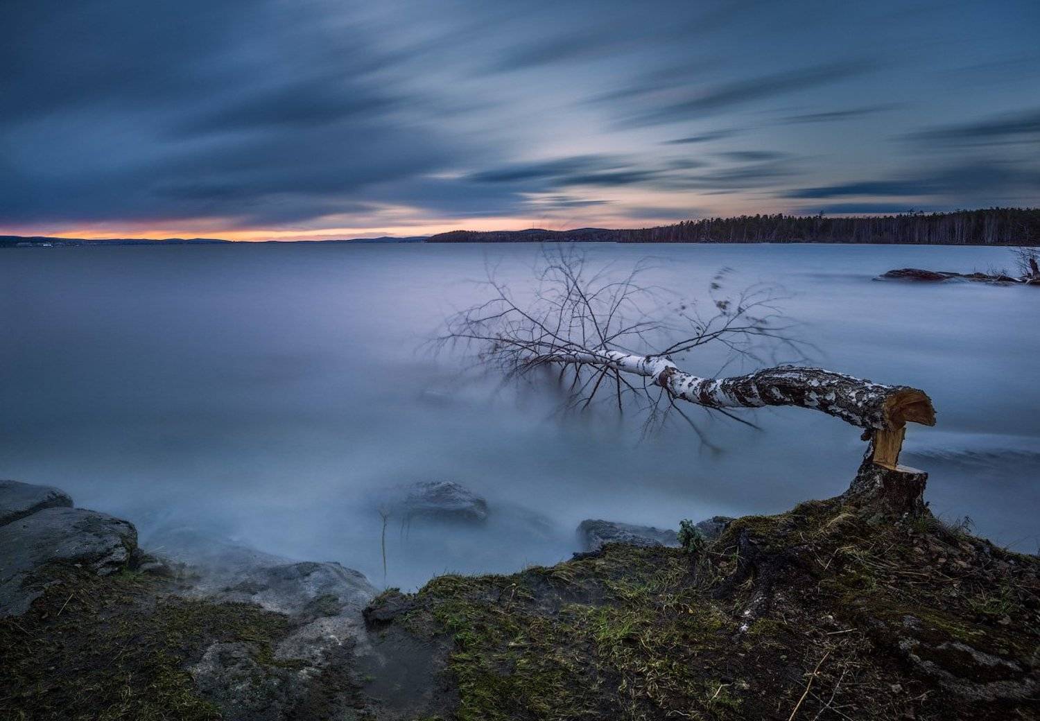 , Александр Гоголин