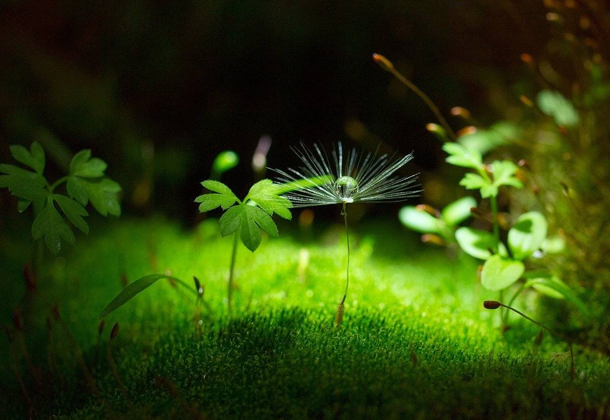 , Марина Брыдня