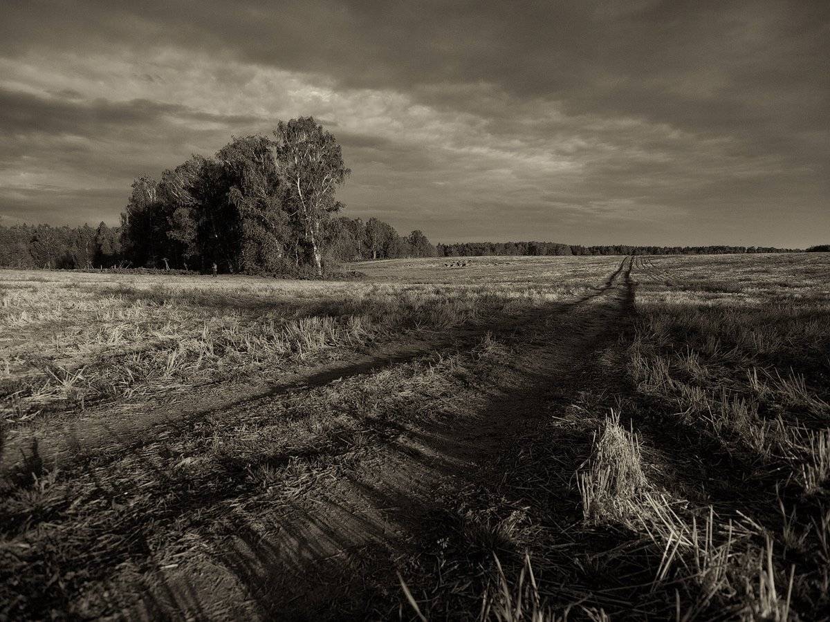 , Владимир Перепечаев