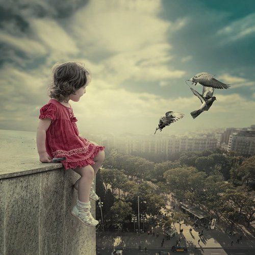 The observer