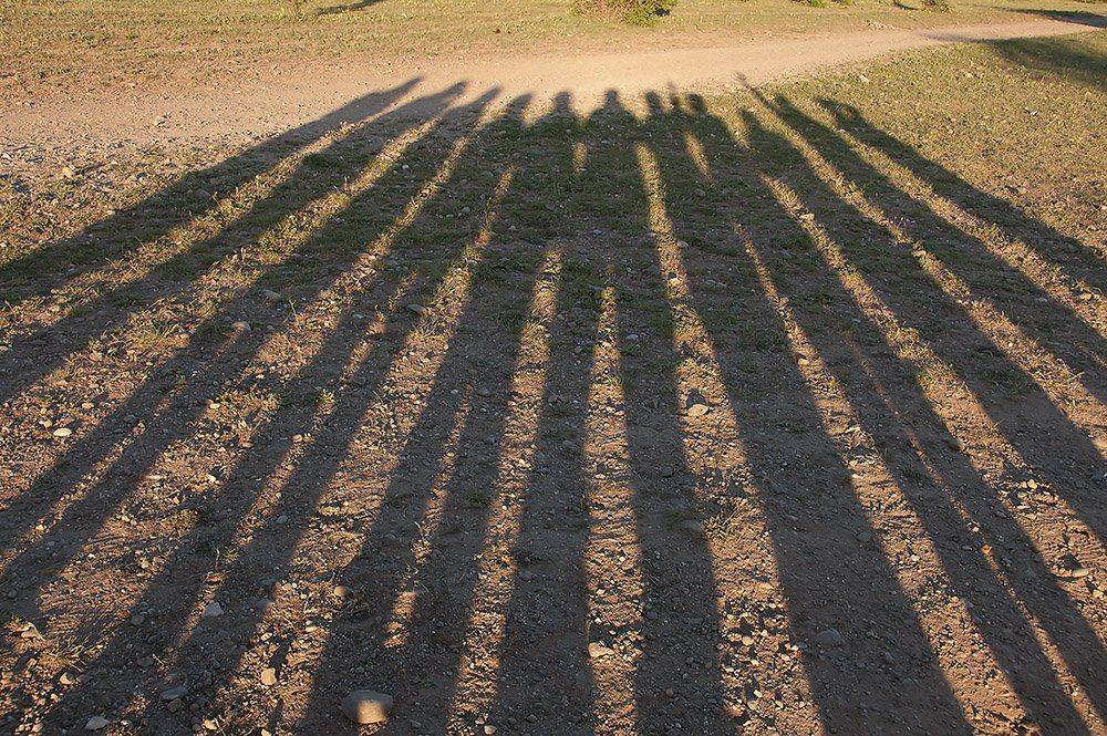 , Игорь ФУММ