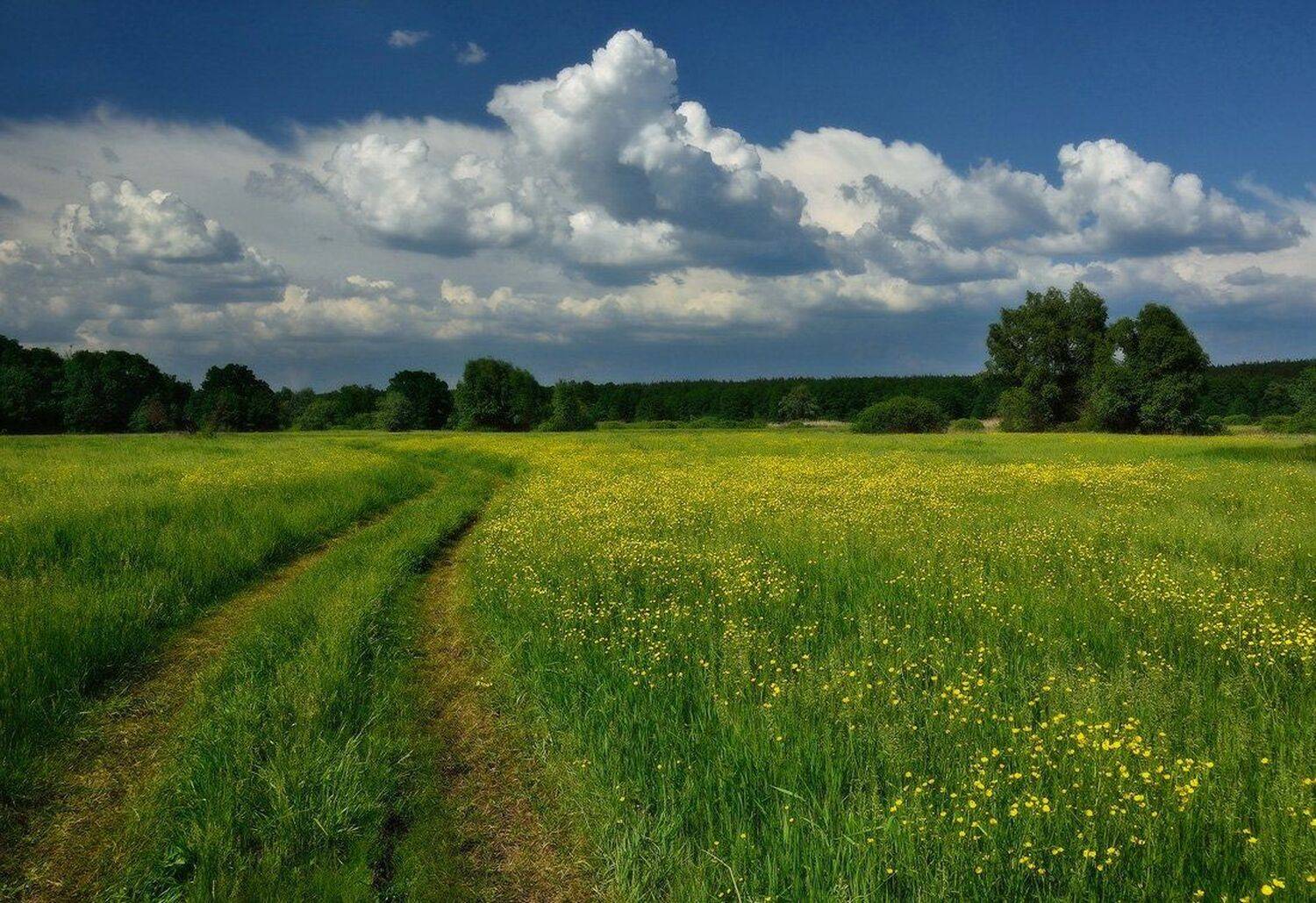 , Животков Андрей