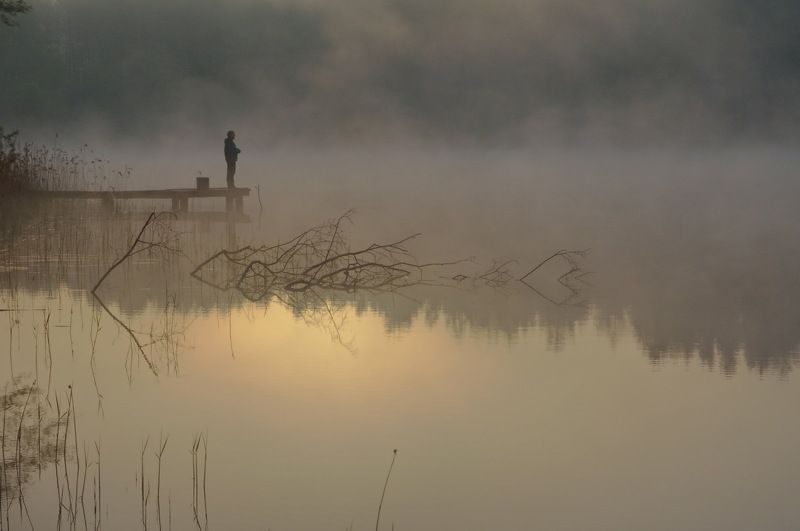 Наедине с тишиной... фото превью
