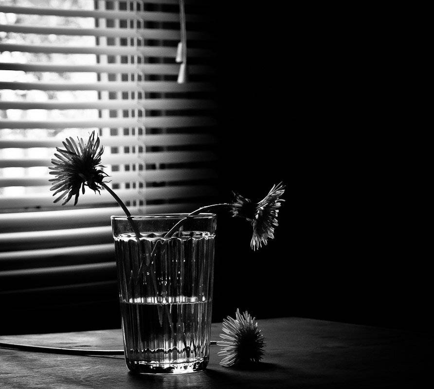 , Октай Гусейнов