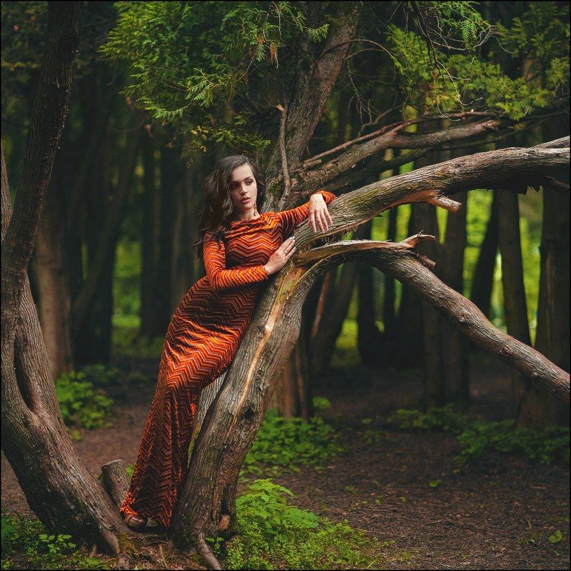 Тигровая фото превью