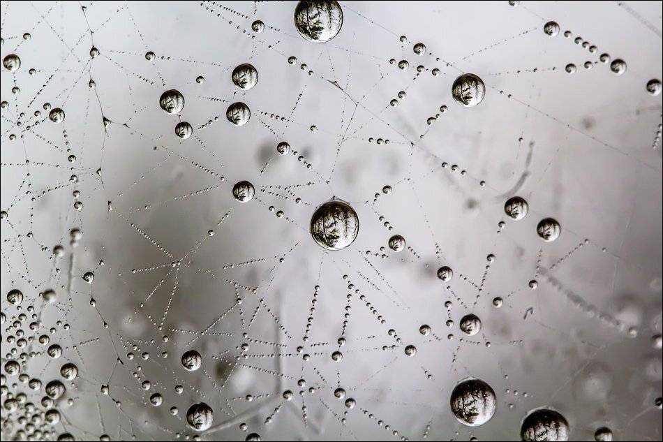 , Бурлов Андрей